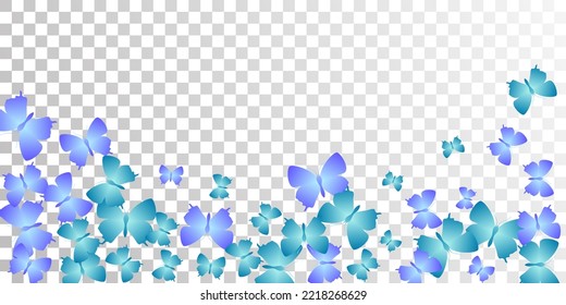 Tropical blue butterflies isolated vector wallpaper. Summer vivid insects. Decorative butterflies isolated baby illustration. Sensitive wings moths patten. Nature creatures.