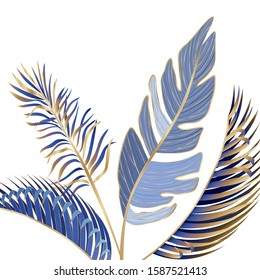 Tropical blue leaves design, Nature summer plant botany tree and decoration theme Vector illustration
