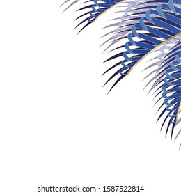 Tropical blue leaves design, Nature summer plant botany tree and decoration theme Vector illustration
