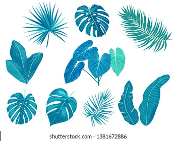 Tropical blue palm leaves, jungle leaves, botanical vector illustration, set isolated on white background.