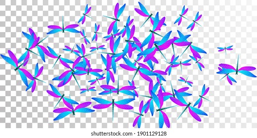 Tropical blue purple dragonfly cartoon vector background. Spring colorful insects. Fancy dragonfly cartoon kids wallpaper. Delicate wings damselflies graphic design. Fragile creatures