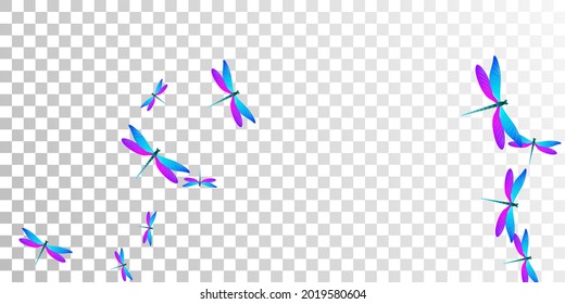 Tropical blue purple dragonfly flat vector illustration. Summer little damselflies. Decorative dragonfly flat baby wallpaper. Sensitive wings insects graphic design. Garden beings