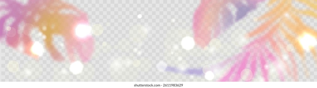 Tropical blurred colorful silhouettes of palm leaves and glowing bokeh lights on transparent background. Perfect for summer, beach, vacation or holiday design projects. Light, dreamy and soft.