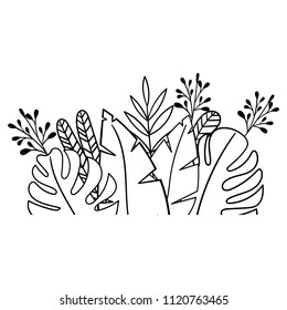 Tropical border. Decoration jungle element. Botanical vector illustration