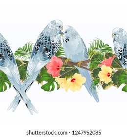 Tropical border seamless background blue pet parakeets Budgerigars and hibiscus vintage vector Illustration for use in interior design, dishes, clothing,  greeting cards,packaging