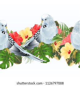 Tropical border seamless background Budgerigar, blue pet parakeet  and hibiscus vector Illustration for use in interior design, artwork, dishes, clothing,  greeting cards,packaging