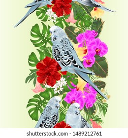 Tropical border seamless background Budgerigars, blue pets parakeets  on a bouquet with tropical flowers hibiscus,orchid  palm,philodendron  and   Brugmansia nature  background vintage vector 