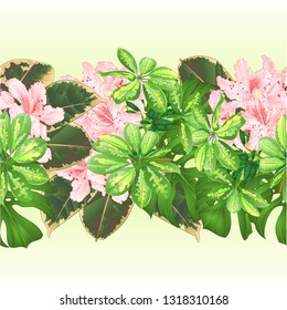 Tropical border seamless background  tropical flowers floral arrangement, with beautiful light pink rhododendron , Schefflera ,philodendron and ficus vintage vector illustration  greeting card