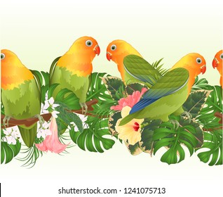 Tropical border seamless background Parrots Agapornis lovebird tropical birds  standing on a branch and Brugmansia with pink and yellow hibiscus  vintage  vector illustration editable hand draw
