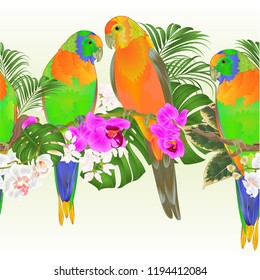 Tropical border seamless background Sun Conure Parrots tropical birds standing  on a branch white and purple  orchid  Phalaenopsis vintage vector Illustration for use in interior design, artwork, dish