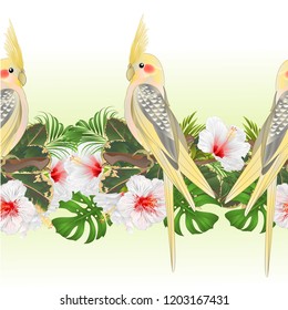 Tropical border seamless background Yellow cockatiel cute tropical bird funny  parrot and white hibiscus watercolor style vintage vector Illustration