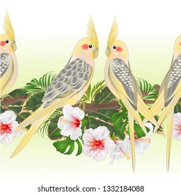 Tropical border seamless background Yellow cockatiel cute tropical birds funny  parrots and white hibiscus watercolor style vintage vector Illustration for use in interior design greeting card