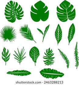 Tropical Botanical Collection. Exotic Jungle Leaf Print for Summer Decor. Illustration Set. Palm and Monstera Leaf Design. Tropical Garden. Exotic Banana Leaf.