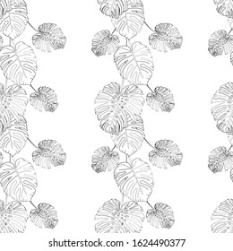 Tropical botanical floral illustration with black and white Monstera plant. Vector seamless pattern.