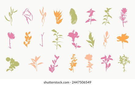 Tropical botanical floral silhouettes set. Minimal plants clip arts. Hand drawn shapes elements collection. Vector flat illustration. Vintage retro design