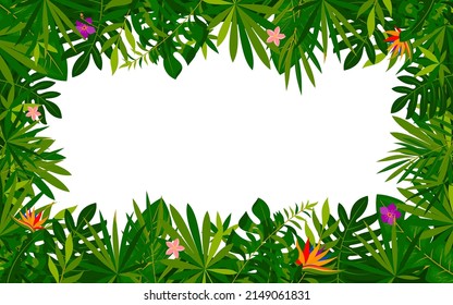 Tropical botanical foliage flower banner flat style. Exotic palm leaf monster jungle summer spring background. Design spa beauty salon cosmetics presentation template promotion excursion paradise trip