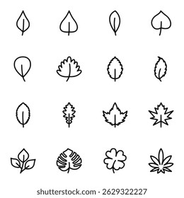 Tropical and Botanical Leaf Vector Set Flat and Outline Style Collection
