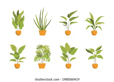 Tropical botanical plant set vector illustration good for plants vector collection