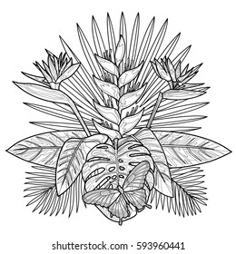 Tropical bouquet with flowers, leaves and butterfly. Tropic floral outline composition isolated on white background. Mock up for coloring pages and books.