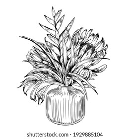 Tropical bouquet with protea flowers in trendy vase. Black and white vector illustration.