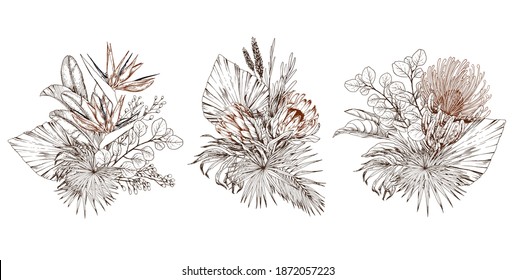 Tropical bouquets with palm leaves, exotic protea and strelitzia flowers. Trendy floral decoration. Vector illustration on white background.