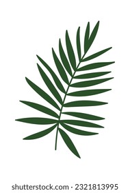 Ilustración de vectores de iconos de bifurcación tropical