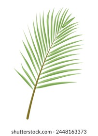 Tropical branch with leaves in flat style. Tropical watercolor for your design. Holiday concept, summer greetings, birthday, event, web design, vacation. Memories of summer.EPS10