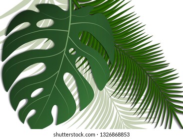 Tropical bright flyer, leaflet with monster leaves and palm trees. Exotic tropical trendy print. Invitation to a party in an exotic style. Vector illustration.