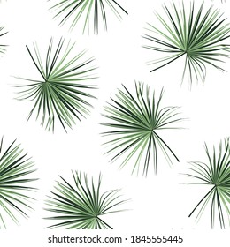 Tropical  bright green palm leaves seamless pattern. Exotic tropical garden on white background.