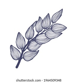 Tropical brunch with leaves in linear style. Exotic hand drawn leaf in trendy style collection. Minimalistic tropic leaves vector illustration. Isolated on white background.