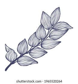 Tropical brunch with leaves in linear style. Exotic hand drawn leaf in trendy style collection. Minimalistic tropic leaves vector illustration. Isolated on white background.