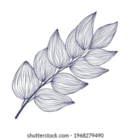 Tropical brunch with leaves in linear style. Exotic hand drawn leaf in trendy style collection. Minimalistic tropic leaves vector illustration. Isolated on white background.