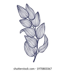 Tropical brunch with leaves in linear style. Exotic hand drawn leaf in trendy style collection. Minimalistic tropic leaves vector illustration. Isolated on white background.