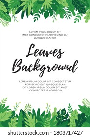 Tropical bushes, plants and herbs rectangle frame in modern flat style. Frame template for cards, posters, banners
