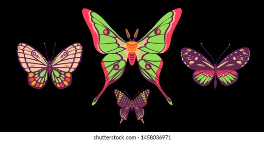 Tropical butterflies and moths. Collection of insects. Bright summer illustration. Isolated on black background. Great for greeting cards, invitations, print on fabric and more.