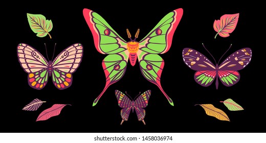 Tropical butterflies and moths. Collection of insects. Bright summer illustration. Black background. Great for greeting cards, invitations, print on fabric and more.
