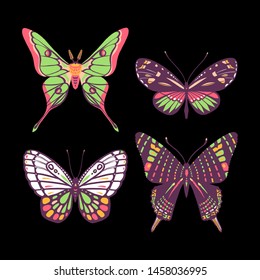 Tropical butterflies and moths. Collection of insects. Isolated on black background. Great for greeting cards, invitations, print on fabric and more.