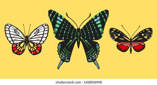 Tropical butterflies and moths. Collection of insects. Bright summer illustration. Isolated on yellow background. Great for greeting cards, invitations, print on fabric and more.