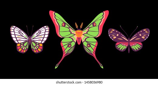 Tropical butterflies and moths. Collection of insects.Black background. Great for greeting cards, invitations, print on fabric and more.