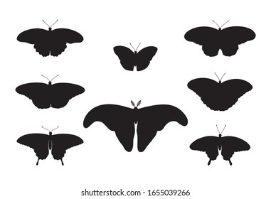 Tropical butterflies set:  Attacus Atlas, Monarch, Blue Moon, Driada (Paper Rice), Blue Morpho, Papilio, Swallowtail. Drawing insects. Hand drawn vector sketch detailed illustration.
