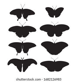 Tropical butterflies set:  Attacus Atlas, Monarch, Blue Moon, Driada (Paper Rice), Blue Morpho, Papilio, Swallowtail. Drawing insects. Hand drawn vector silhouette illustration.