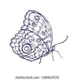 Tropical butterfly black and white vector illustration. Hand drawn doodle line art design for coloring book page.
