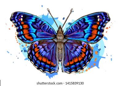 Tropical butterfly. Color, hand-drawn, graphic image of a butterfly on a white background in watercolor style.