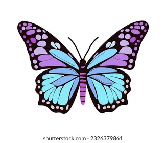 Tropical butterfly with colorful wings and antennae on a white background. Beautiful flying butterfly, top view. vector illustration