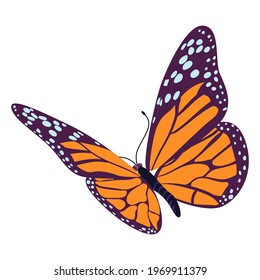 Tropical butterfly with colorful wings isolated on white background. Flying moth, exotic spring insect. Colored beautiful butterfly vector illustration.