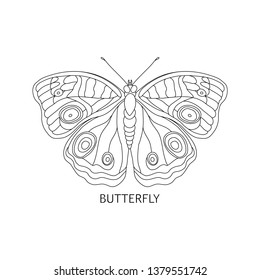 Tropical butterfly for coloring book vector illustration