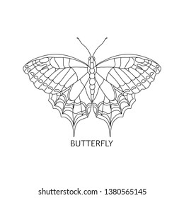 Tropical butterfly for coloring book vector illustration