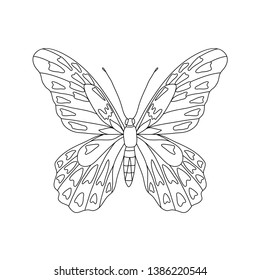 Tropical butterfly for coloring book vector illustration