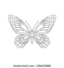 Tropical butterfly for coloring book vector illustration