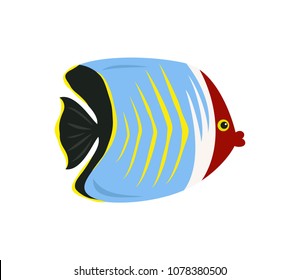 Tropical butterfly fish on white background. Vector illustration.